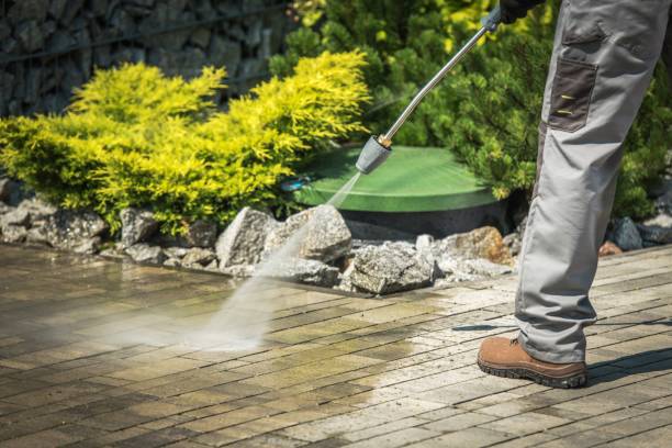 Best Driveway Cleaning and Restoration in Mahtomedi, MN